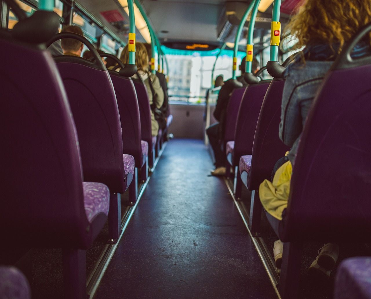 baa7dd34-b816-44c0-8cd5-1191fe7cc4c5-bus Mirador.jpg